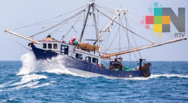 Sader establece veda para pesca de camarón