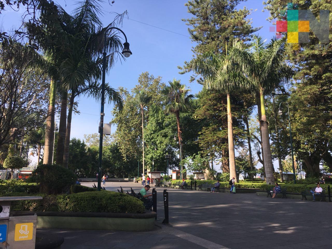 Se desploman ventas de comerciantes en Parque Juárez; piden apoyos