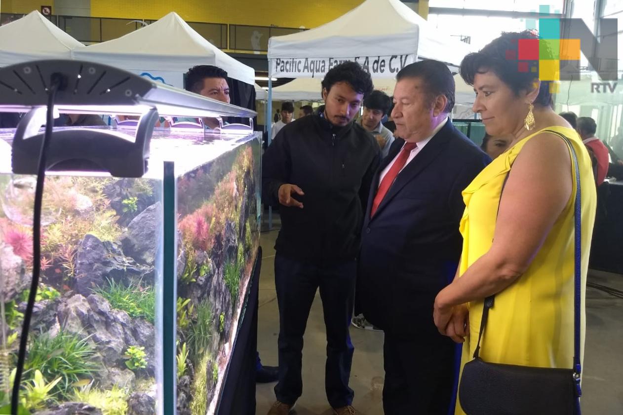 Genera la acuacultura ornamental, ingresos por 140 mdp anuales: Conapesca
