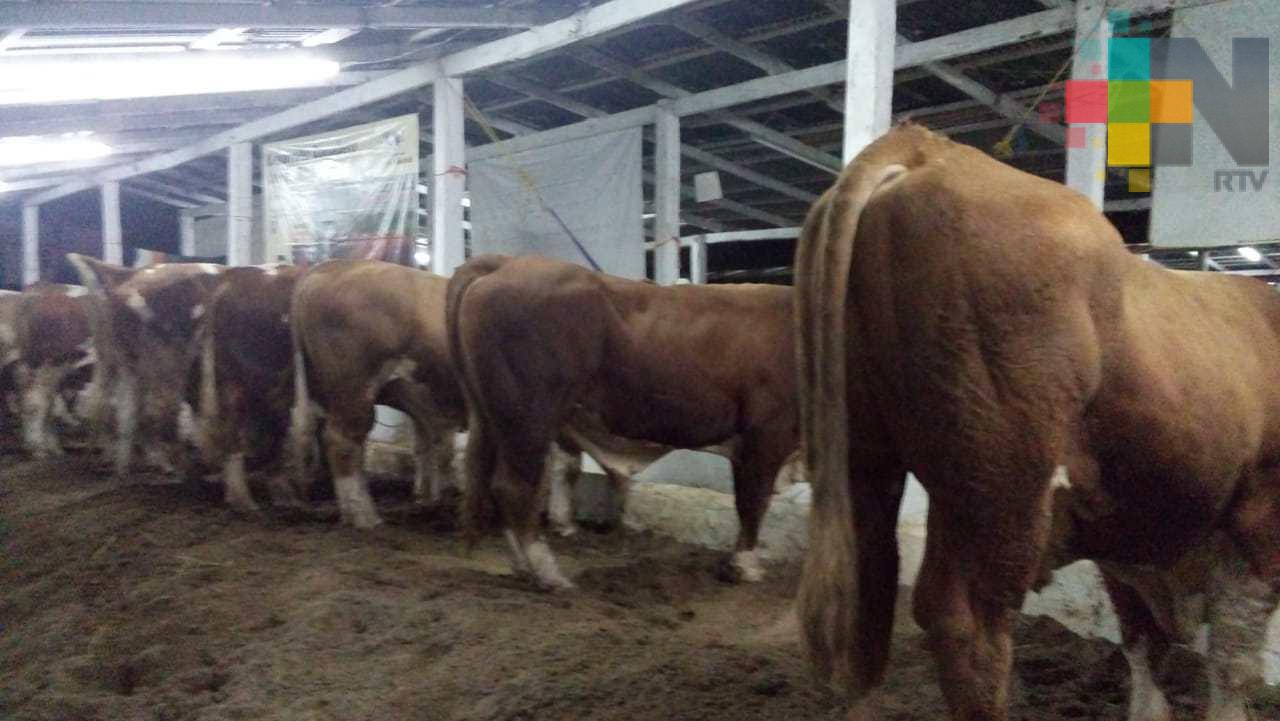 Se fortalecerán las campañas zoosanitarias para el desarrollo de una ganadería sana y productiva