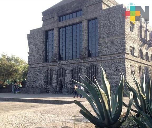 Una noche en el museo Diego Rivera con Airbnb