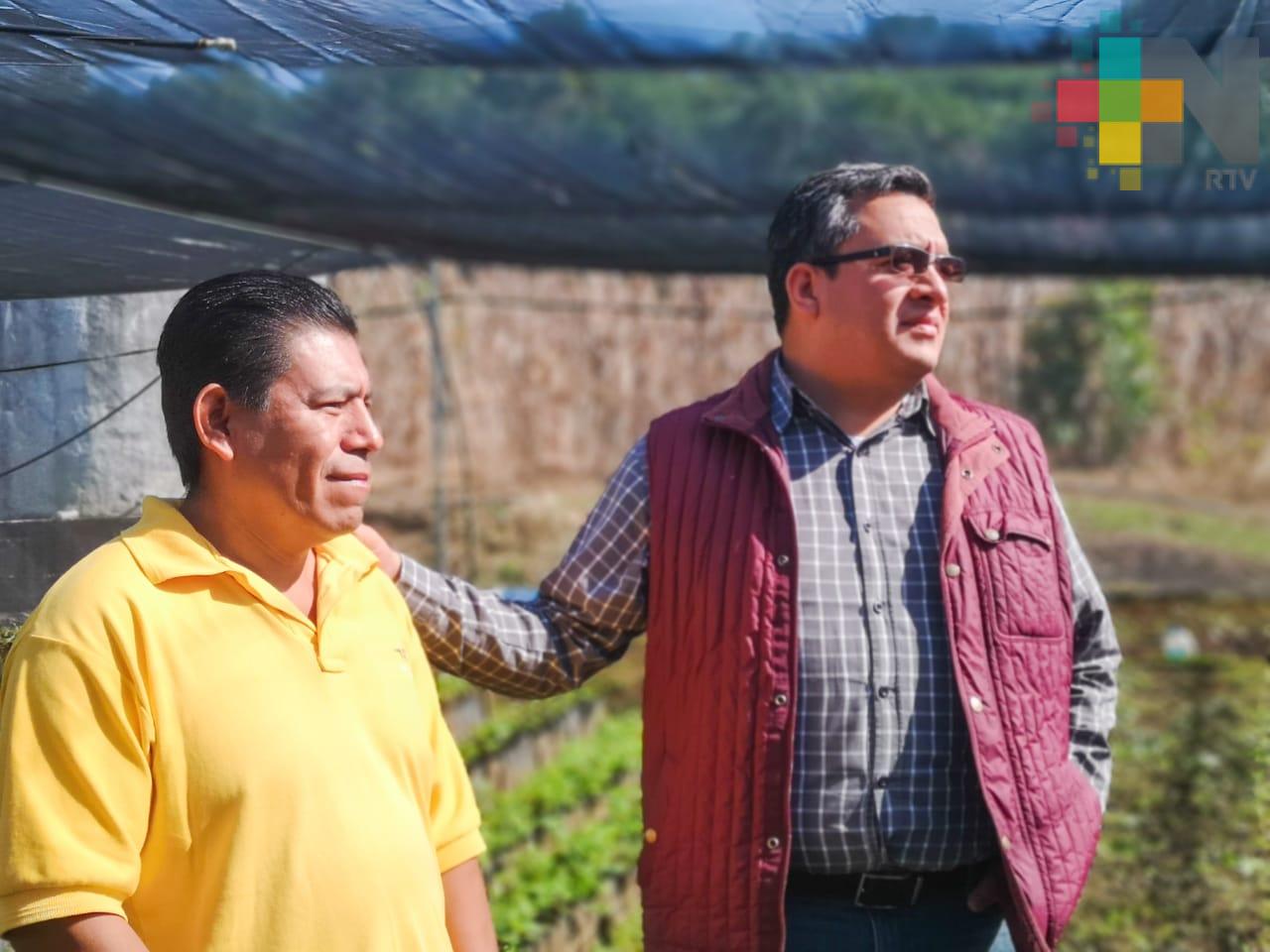 Entrega SEDARPA seguro catastrófico por afectaciones al campo