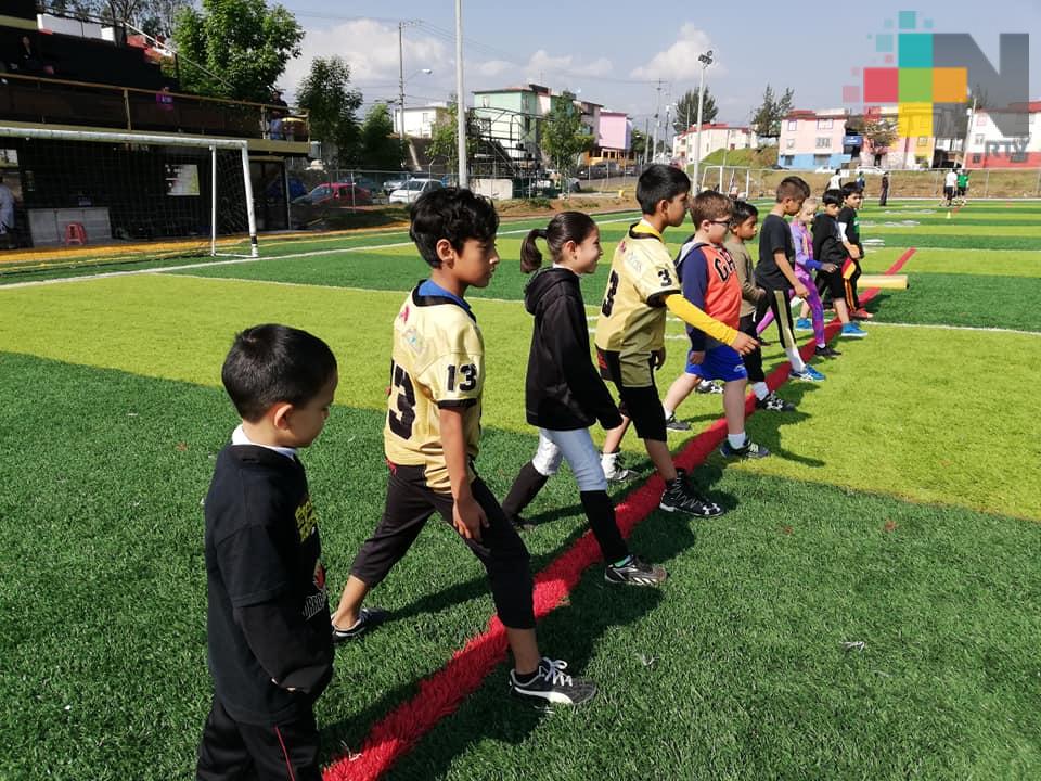 Continua proyecto Zorros Dorados XL