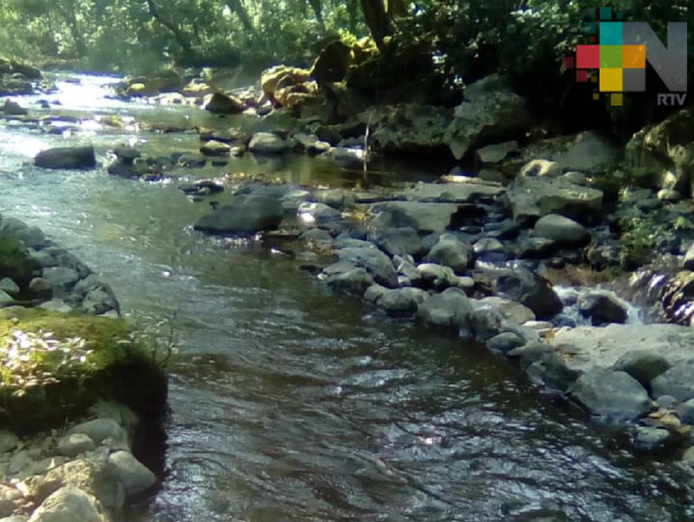 Ríos Cazones, Tecolutla y Nautla a la alza, pero sin mayores riesgos