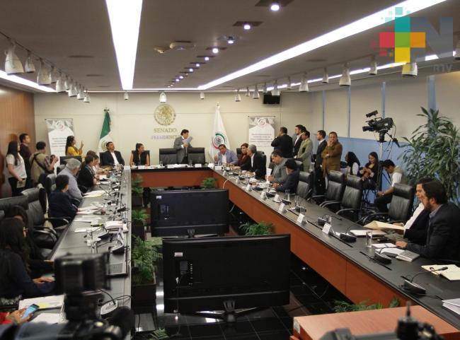 Comisiones del Senado avalan dictamen sobre Guardia Nacional