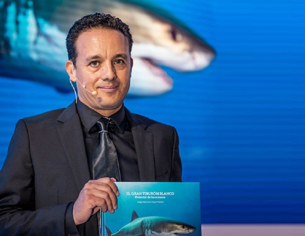 Coloca IPN marcas acústicas y satelitales a tiburones para equilibrio en ecosistema marino