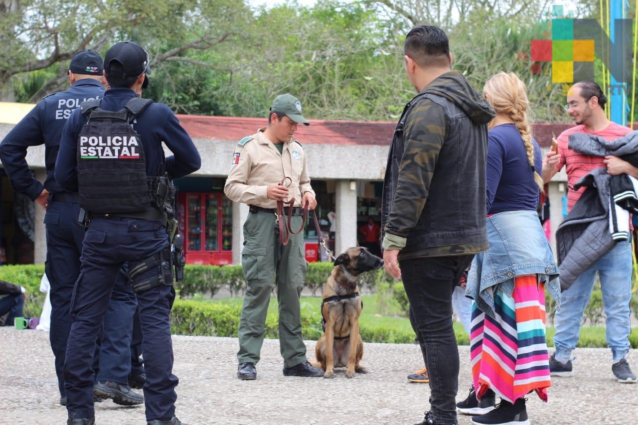 Garantizan seguridad en Cumbre Tajín 2019