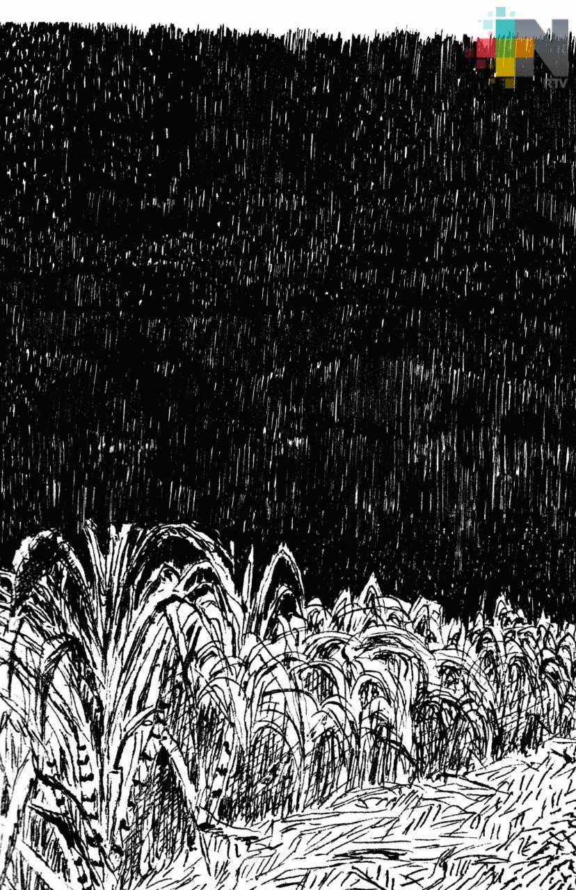 El IVEC presenta en la GACX el proyecto Pura Flor Sanjuanera, de Alejandra R. Bolaño