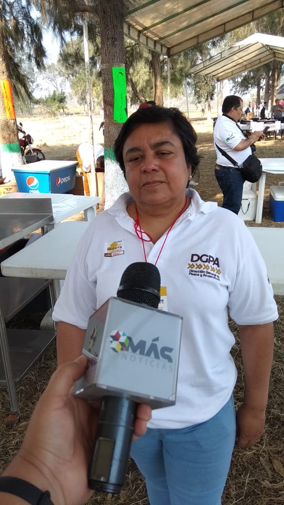 Se creará el Registro Estatal Veracruzano Acuícola y Pesquero
