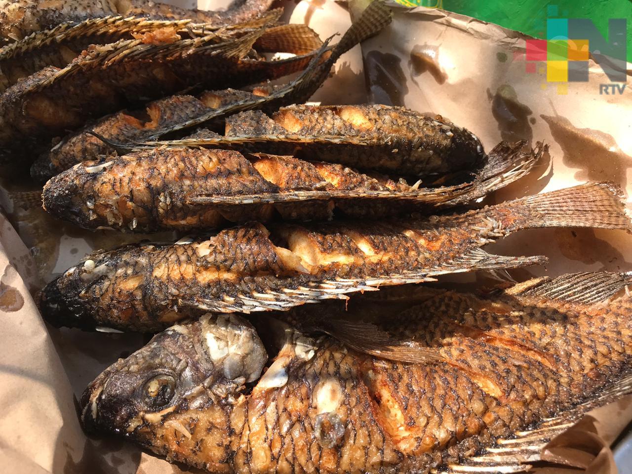 140 municipios de Veracruz, con potencial para producir mojarra: SEDARPA