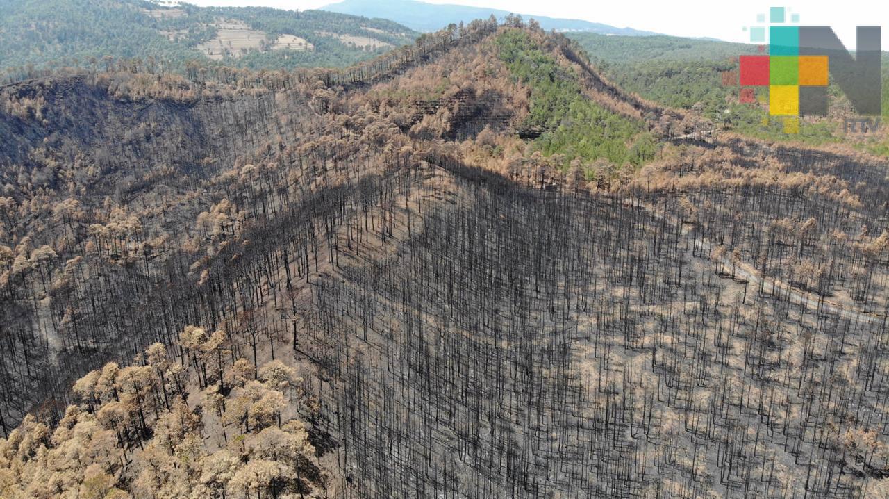 San Juan del Monte, después del incendio