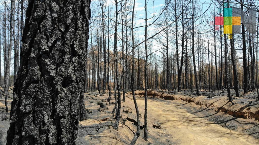 Inicia Sedema trabajos de remediación en San Juan del Monte