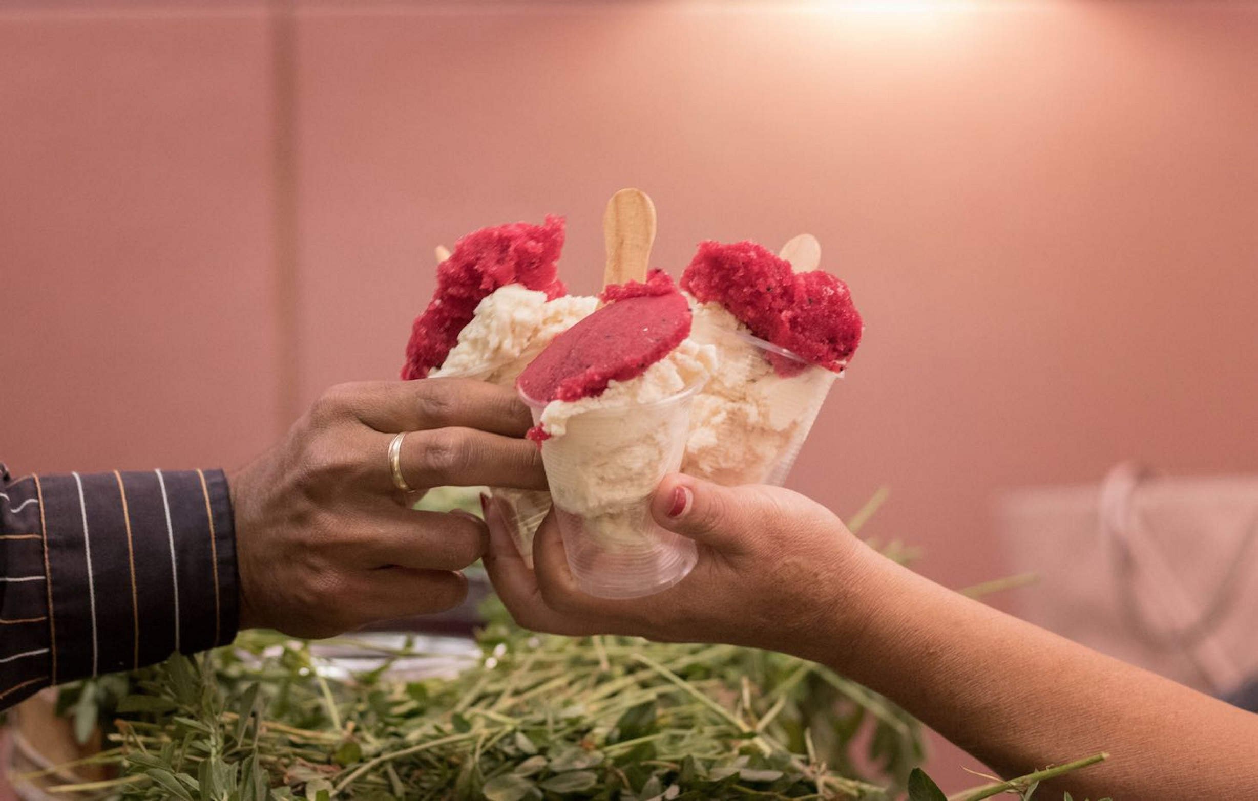 Feria de la Nieve y Mezcal
