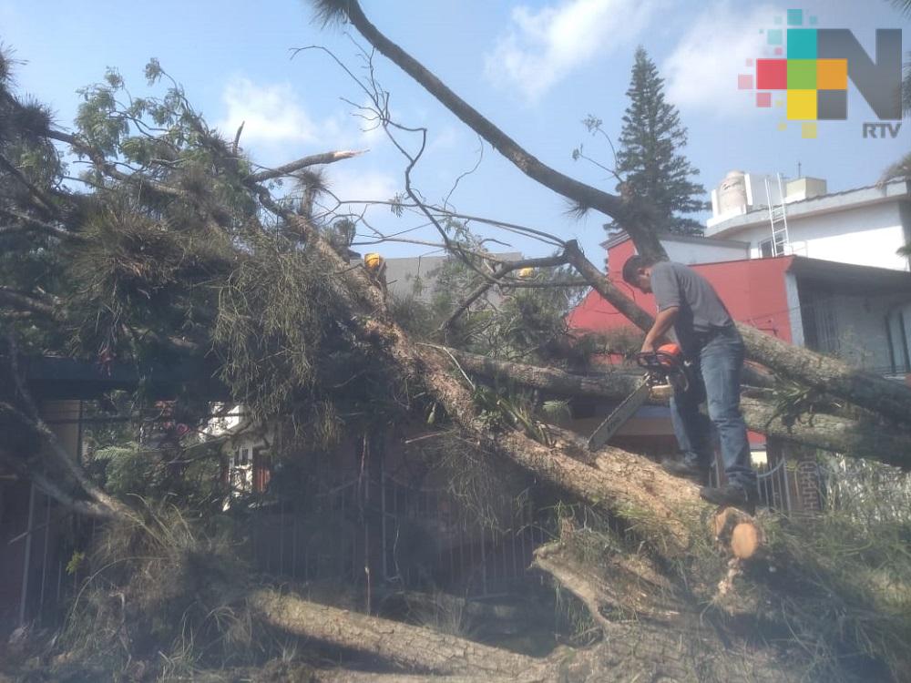 Evento de Norte deja afectaciones en Xalapa