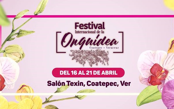 Inicia Festival Internacional de la Orquídea en Coatepec