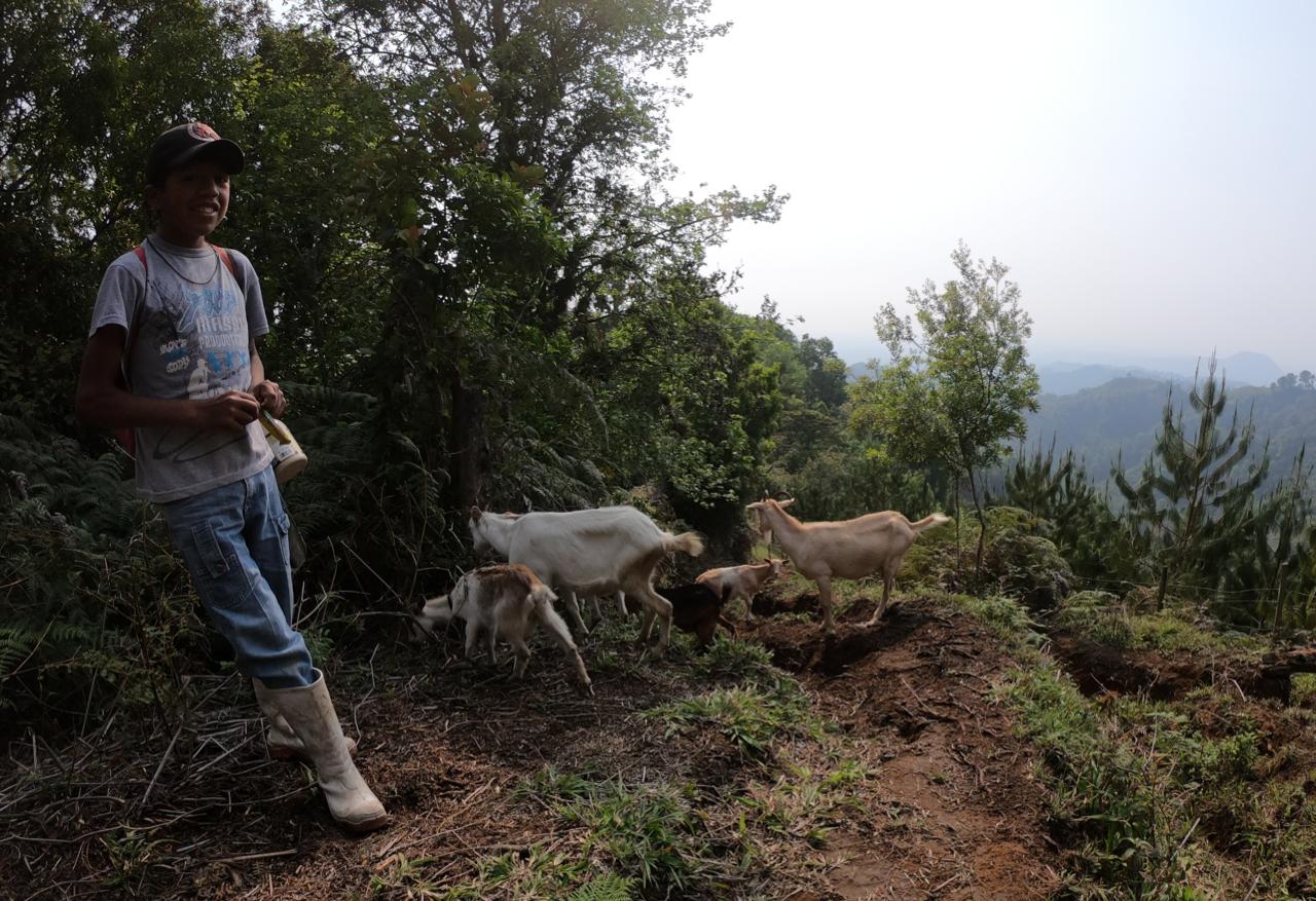 Niño chivero, Micoxtla, Xico