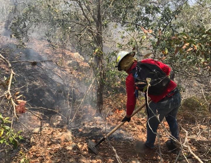 Bomberos Coatepec ha enfrentado 30 incendios de pastizales