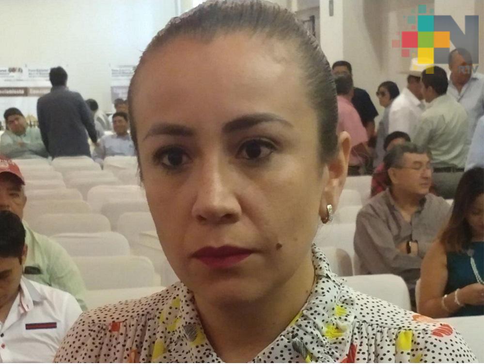 Panistas celebran determinación del TEV para realizar nueva elección interna