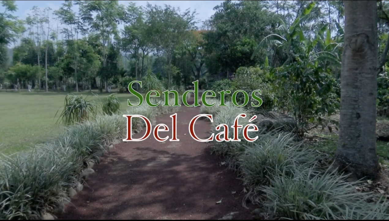 De Aventura – Senderos del Café