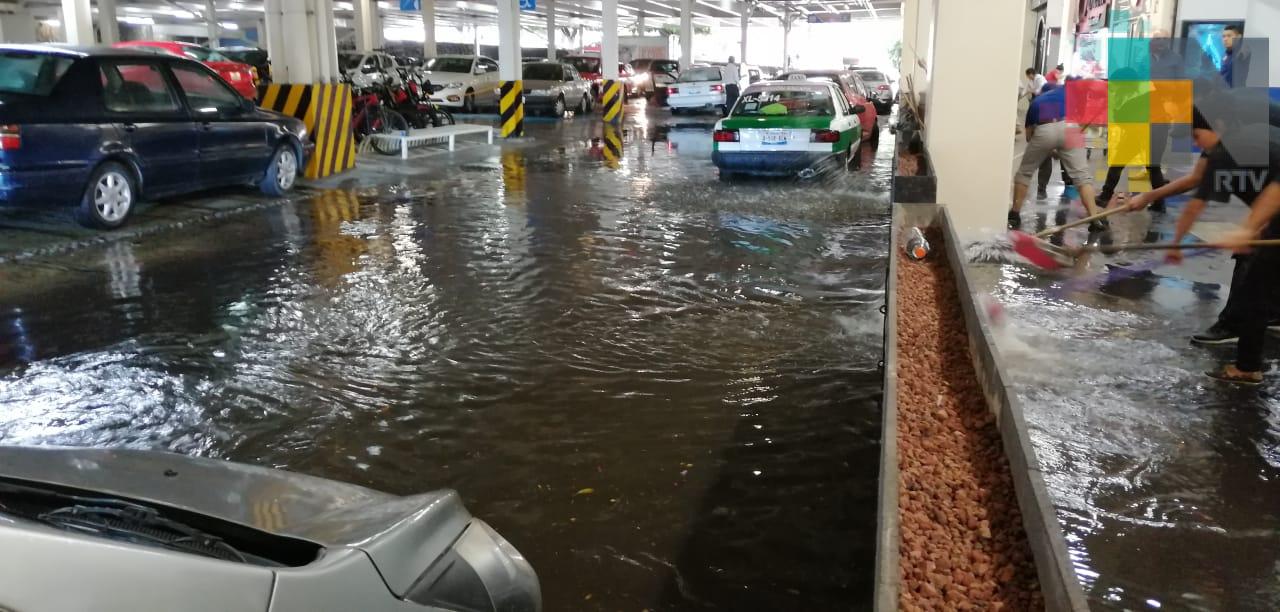 Anegamientos y caída de árboles deja lluvia en la región de Xalapa y Coatepec