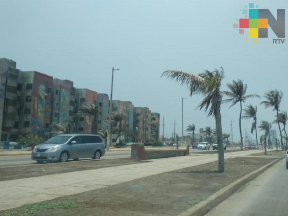 En Coatzacoalcos emprenden acciones para que la ciudad cuente con mayor vegetación