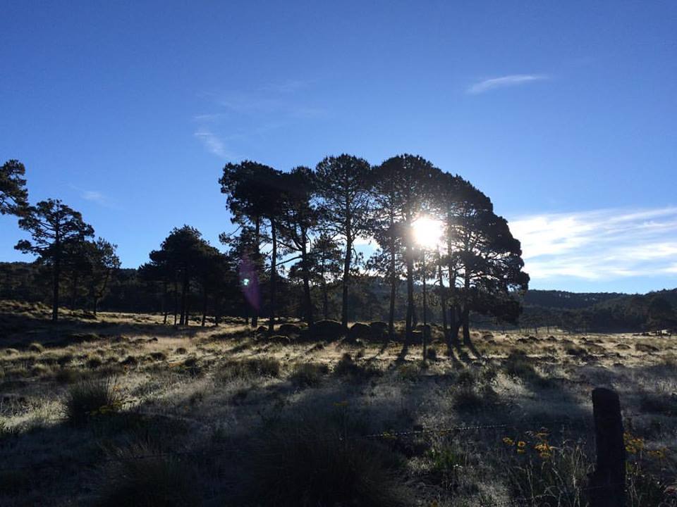 Llanillo Redondo, Las Vigas