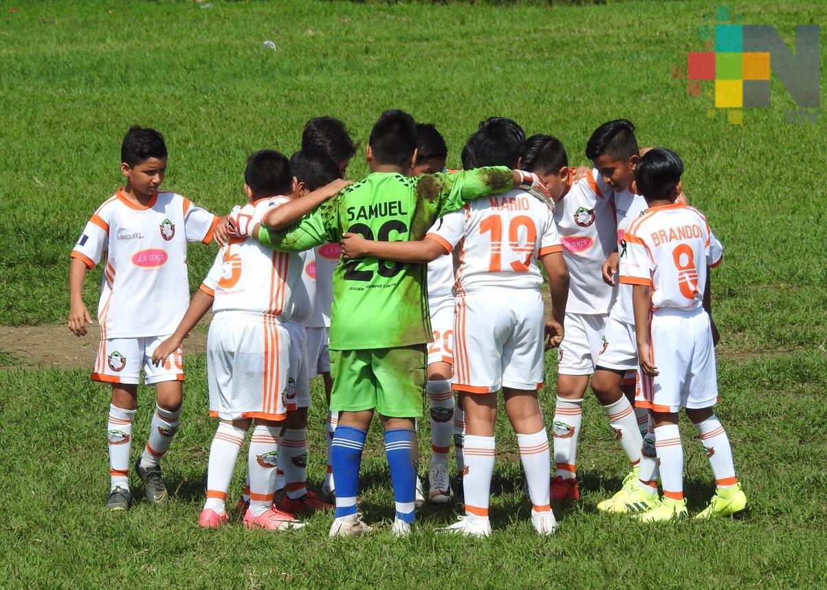 Delfines de Xalapa campeón en Liga Escolar Permanente