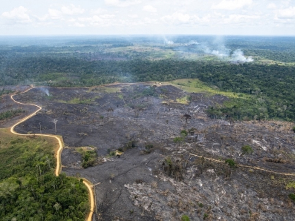 Cambio climático incrementaría también el número de desplazados: ACNUR