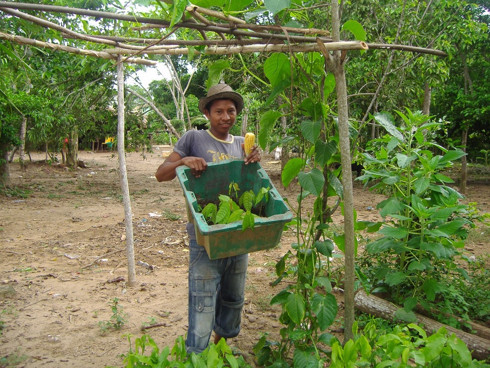 Inicia 8 de junio inscripción de programa Jóvenes Construyendo el Futuro en zonas comunitarias e indígenas