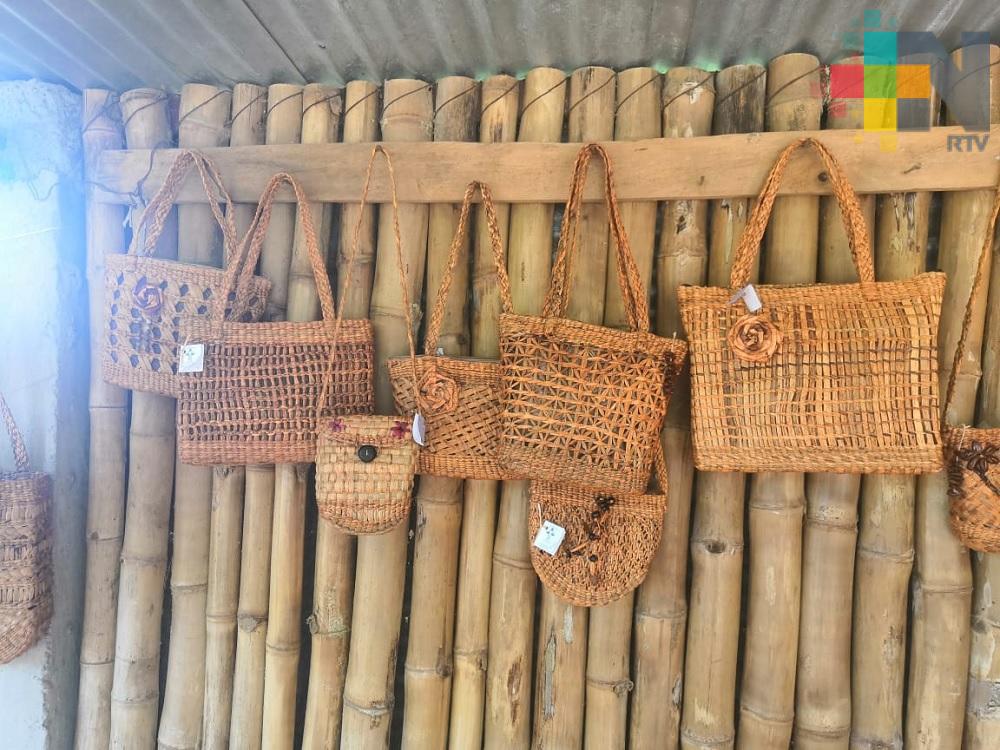 Mujeres de la comunidad Ojoxapan convierten el lirio acuático en diversos artículos