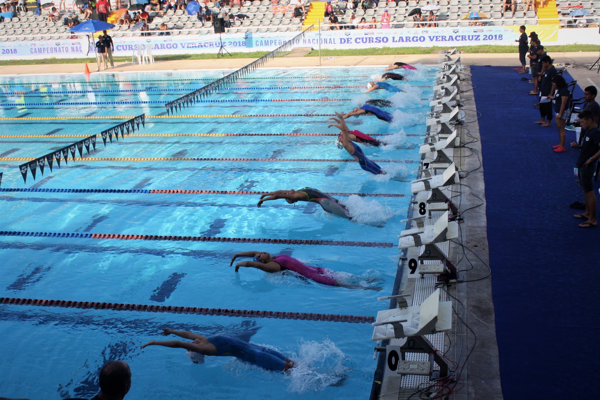 Veracruz sede del Nacional de Natación Curso Largo 2019