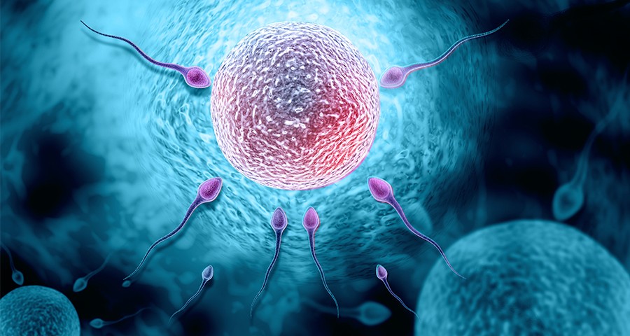 Conmemoran Día Mundial de la Fertilidad