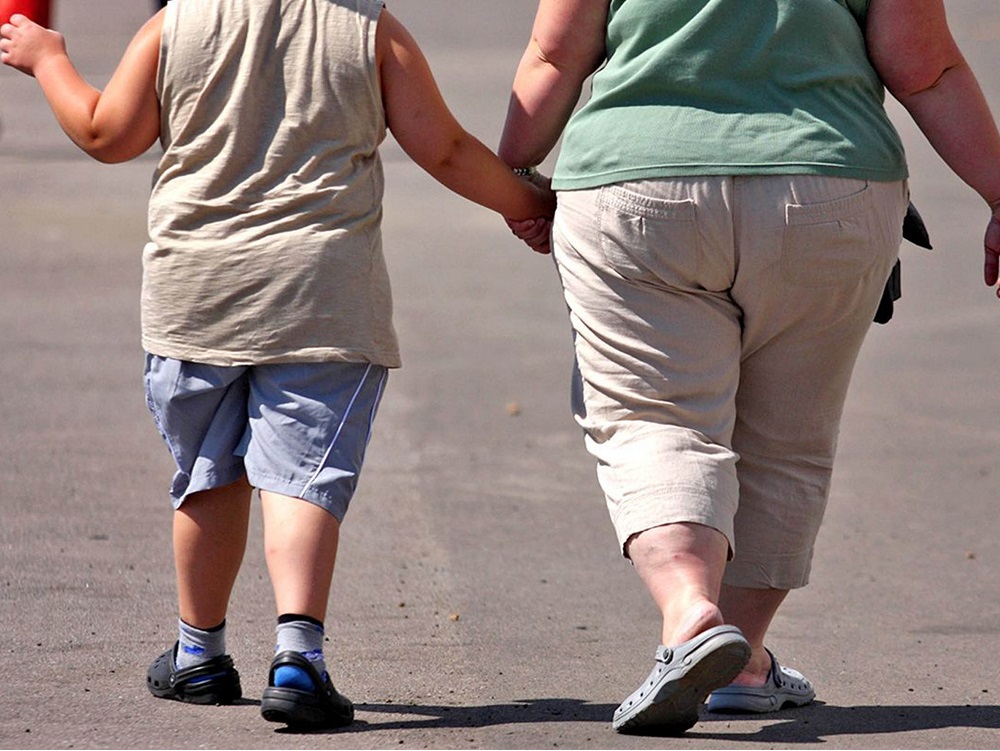 Encuentran receptor capaz de prevenir y revertir la obesidad