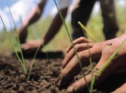 EUA dará visas de trabajo temporal a los agricultores guatemaltecos