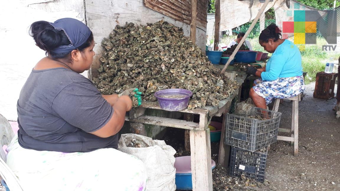 La Laguna de Medellín, principal generadora de ostiones del estado de Veracruz