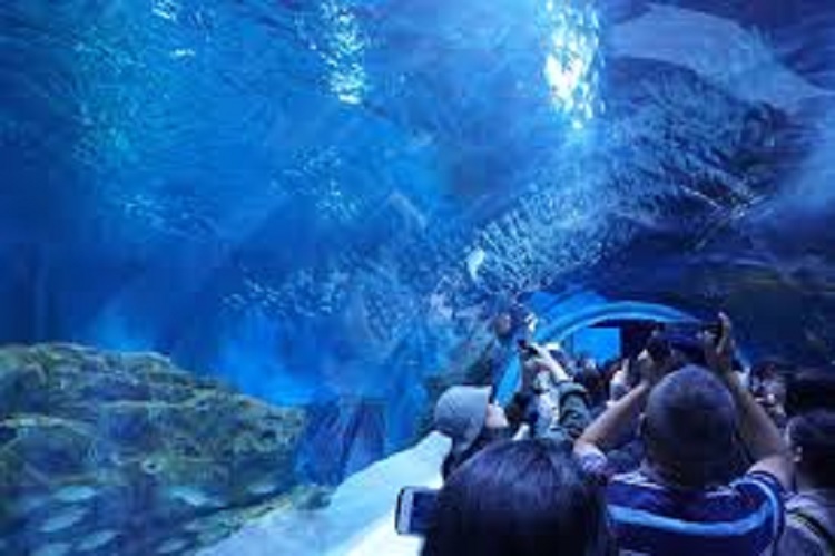 Abre al público acuario chino construido a mayor altitud del mundo