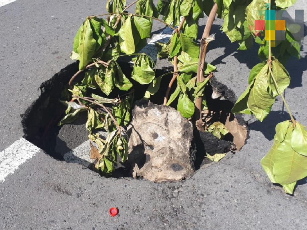 Autoridades del municipio de Veracruz sin atender socavón