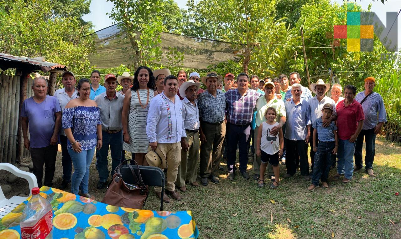 Por su rentabilidad, impulsará Veracruz cultivos de vainilla y pitahaya