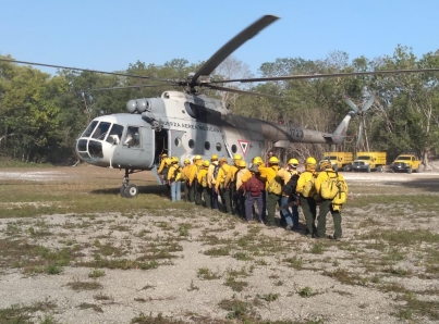 Liquidan al 100 por ciento incendio de Muyil en reserva de Sian Ka´an