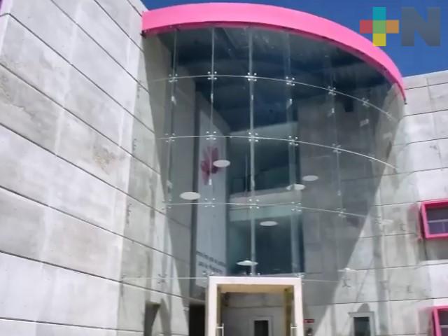 Próxima semana quedará conformado el Centro de Justicia para las Mujeres: Gobernador de Veracruz