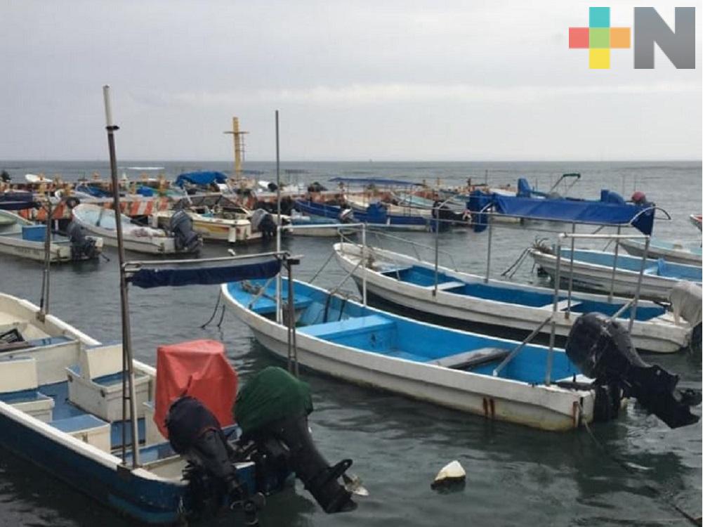 Contaminación en el mar disminuye actividad pesquera