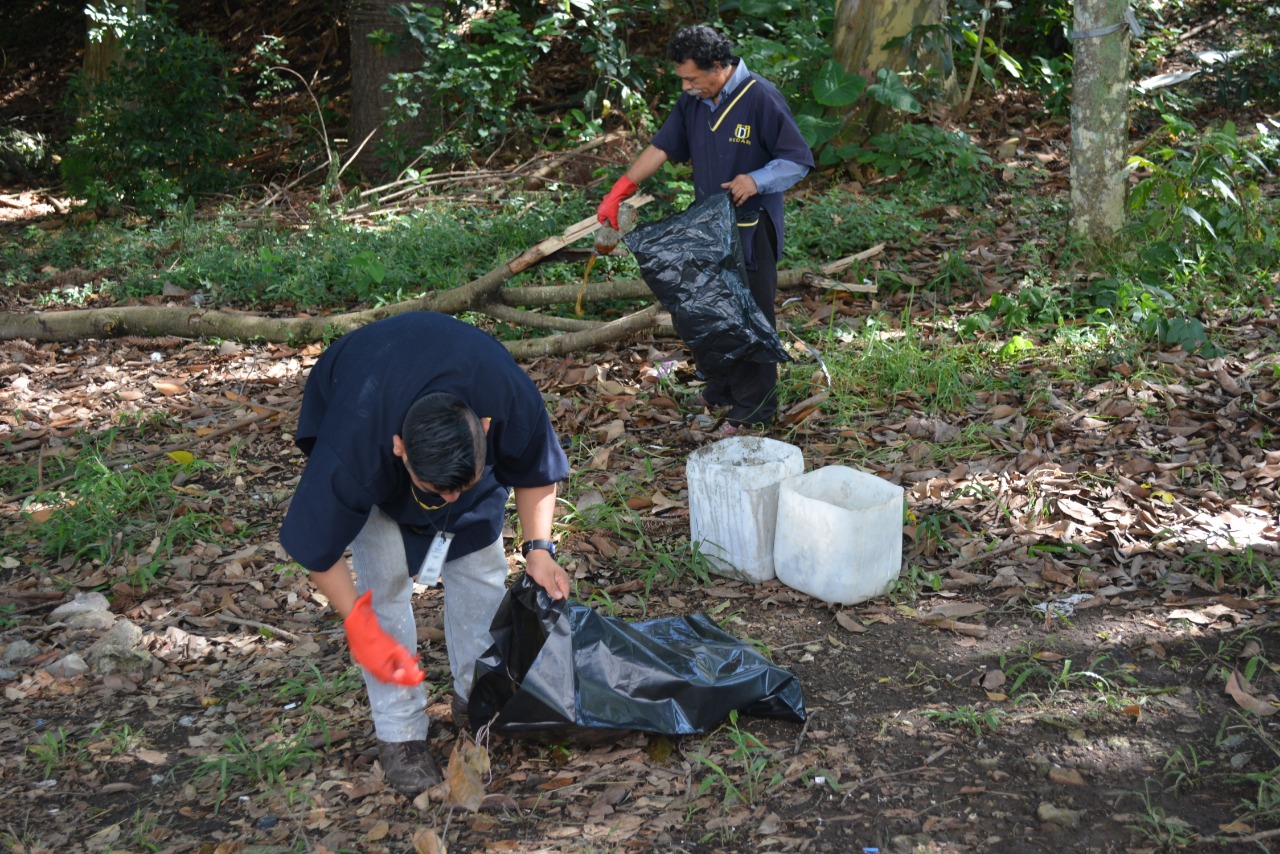 A limpiar calles, playas y bosques en el Día Mundial de la Limpieza