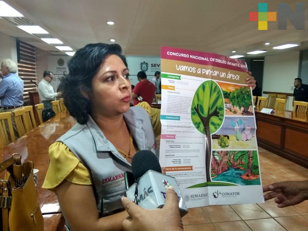Aún abierta la convocatoria para el concurso nacional “Vamos a pintar un árbol”