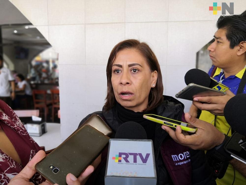 Este fin de semana estados del sur del país celebrarán elección interna de Morena