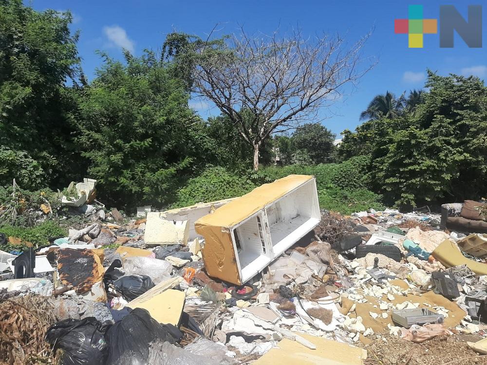 Vecinos de fraccionamiento Bosques de Tarimoya reportan basurero a cielo abierto