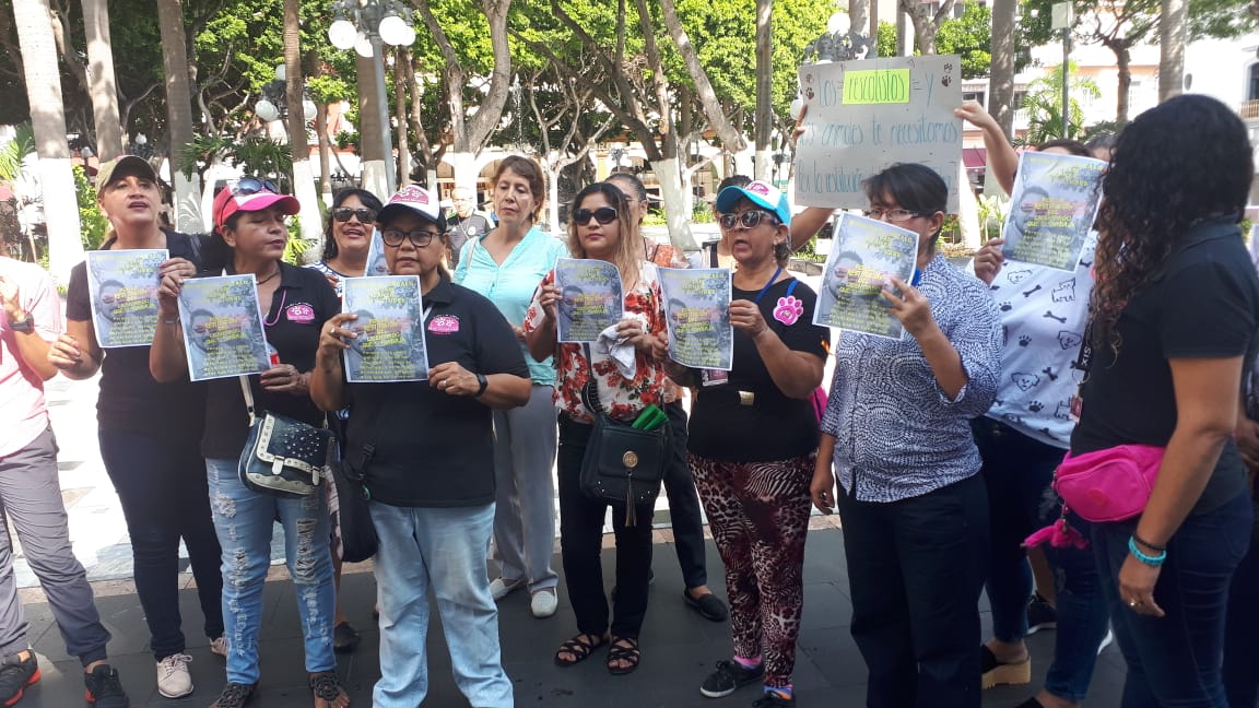 Abandono, malos cuidados, atropellamientos y lesiones, las agresiones más recurrentes en animales