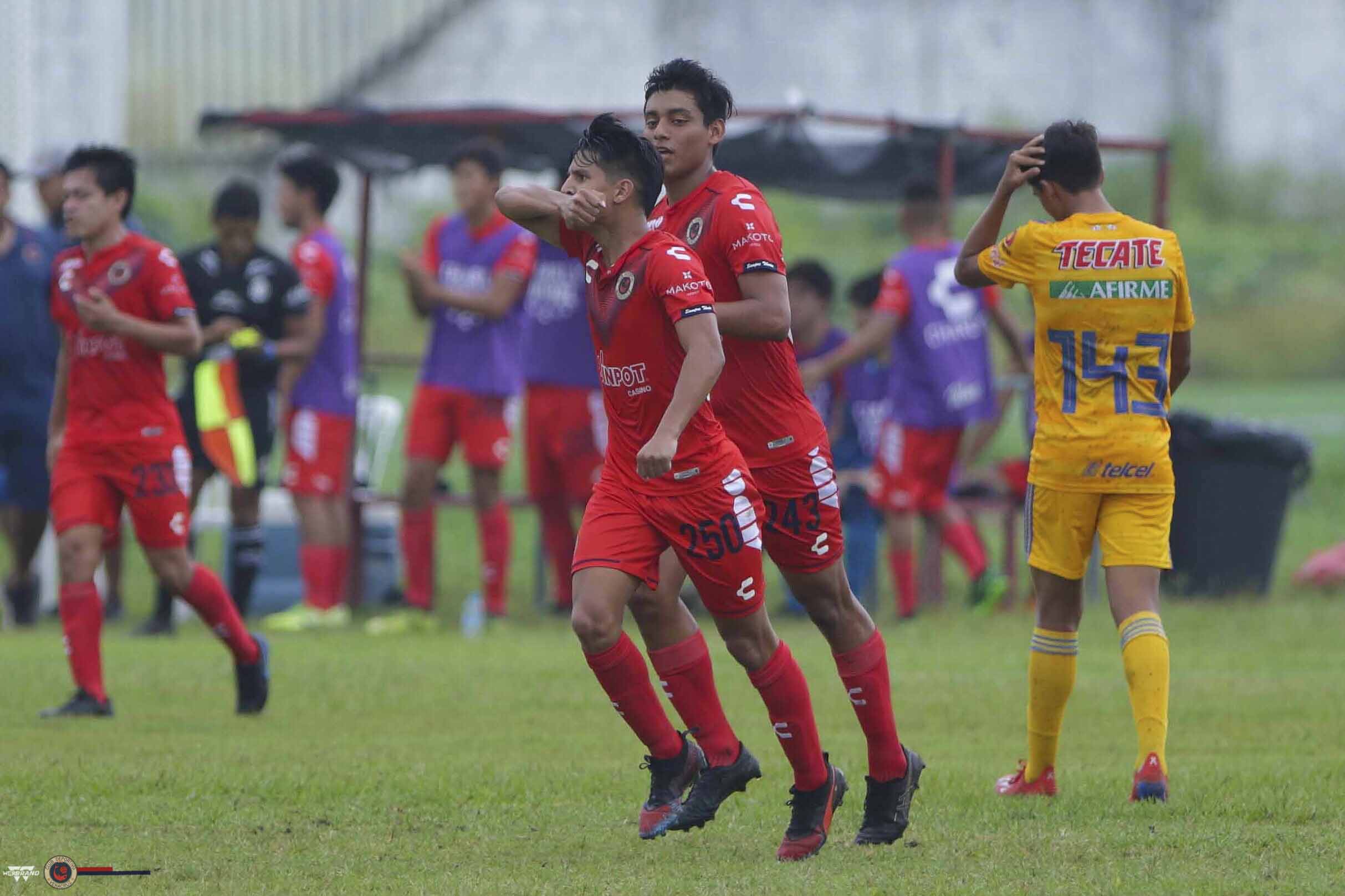 Equipos sub 17 y 20 de Tiburones venció a Tigres