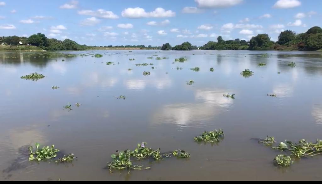 Aumenta nivel del río Papaloapan