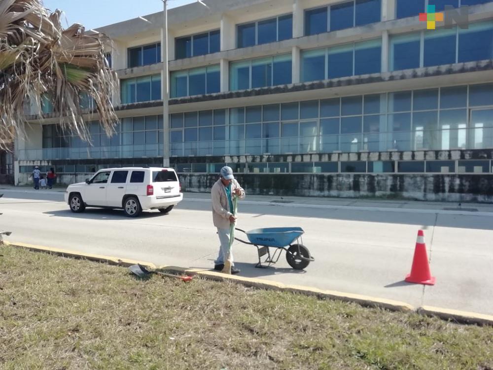 Coatzacoalqueños desconocen sobre la conmemoración del Día Internacional del Hombre