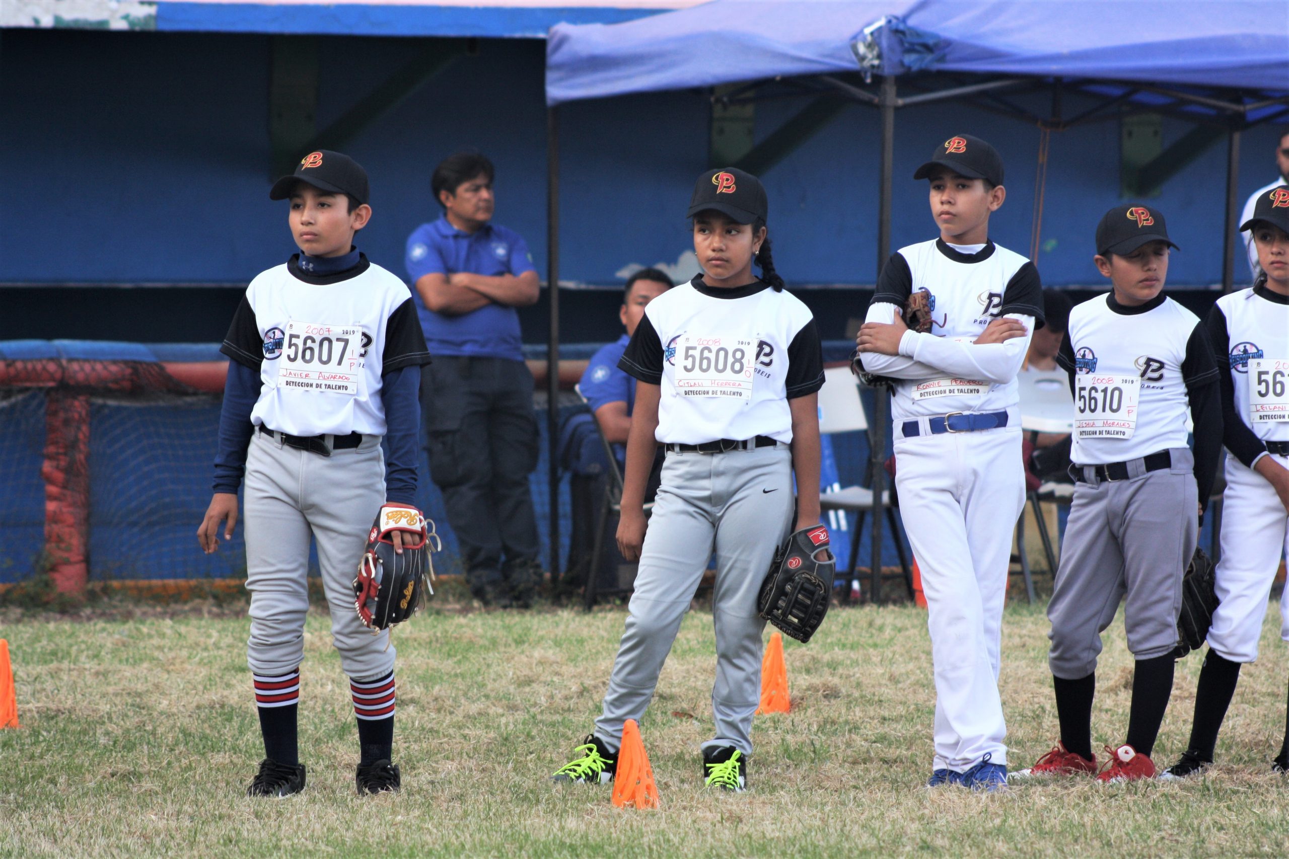 Realiza PROBEIS Detección de Talentos en Veracruz